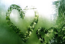 亚特兰大发布备战花絮，集结日豪取连胜，荷甲任务艰巨，球探报告显示潜力的简单介绍-u8体育